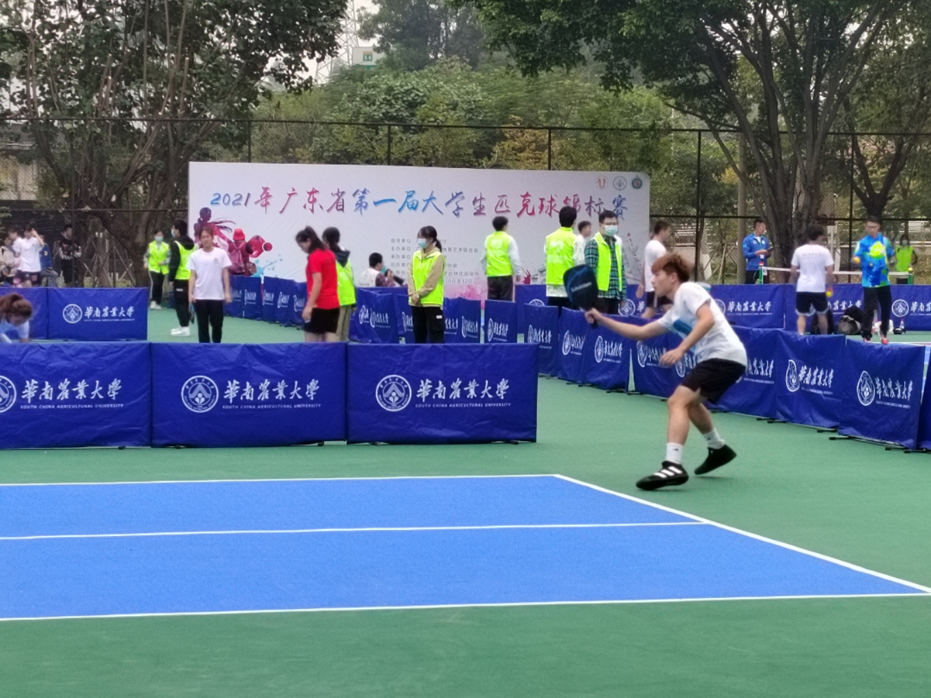 威廉希尔williamhill中文