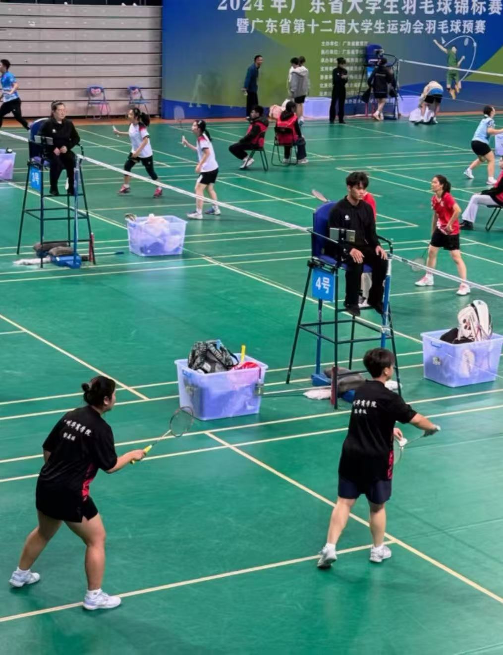 威廉希尔williamhill中文