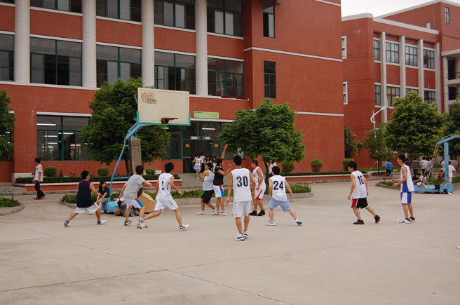 威廉希尔williamhill中文