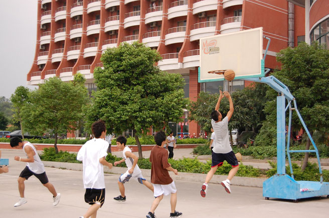 威廉希尔williamhill中文