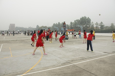 威廉希尔williamhill中文