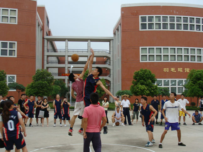 威廉希尔williamhill中文