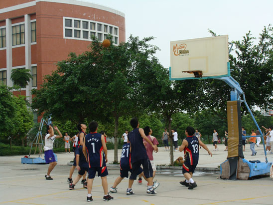 威廉希尔williamhill中文