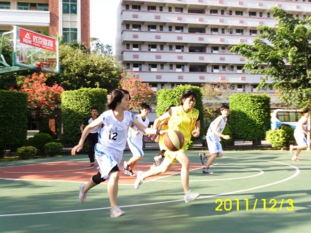 威廉希尔williamhill中文