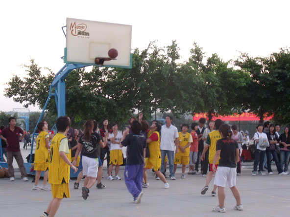 威廉希尔williamhill中文