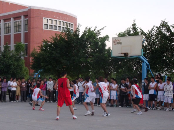 威廉希尔williamhill中文