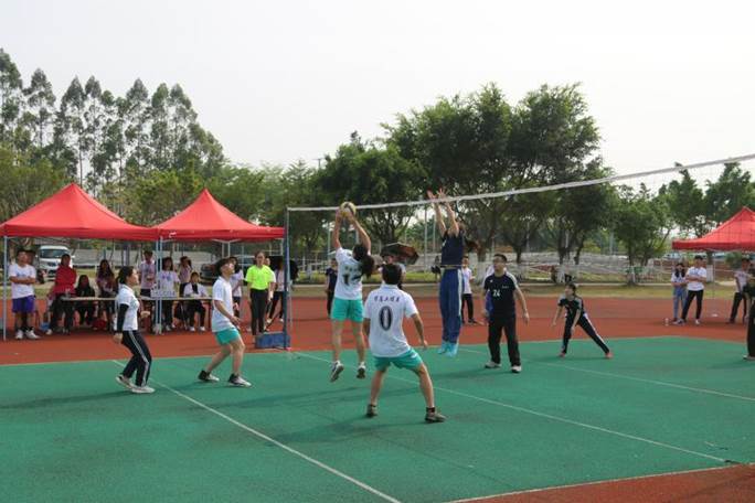 威廉希尔williamhill中文