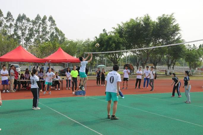 威廉希尔williamhill中文