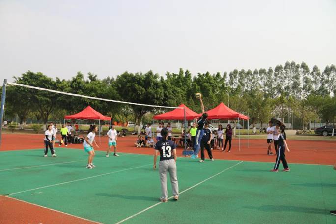 威廉希尔williamhill中文