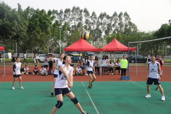 威廉希尔williamhill中文