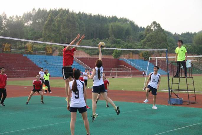 威廉希尔williamhill中文