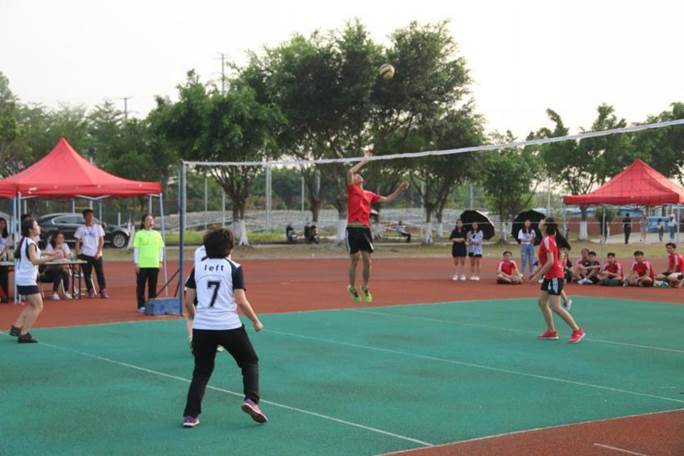 威廉希尔williamhill中文