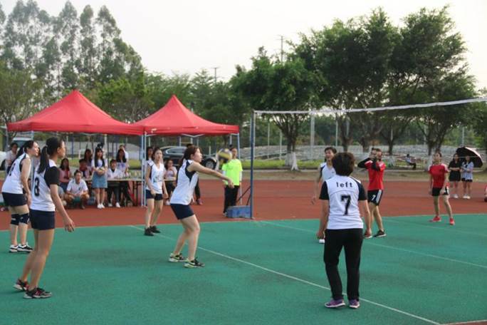 威廉希尔williamhill中文