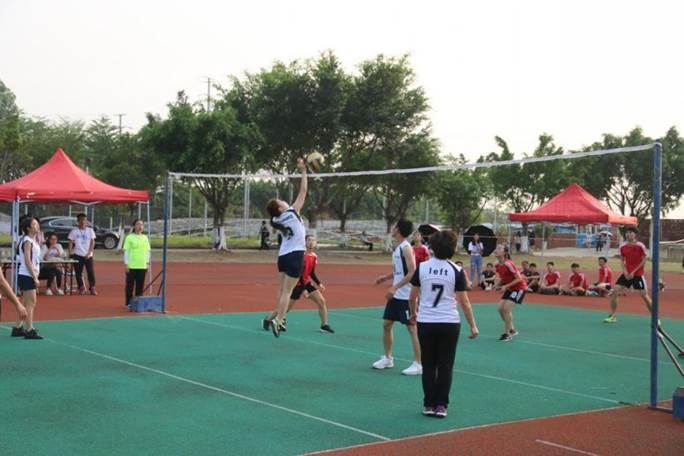 威廉希尔williamhill中文